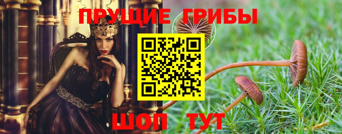 Галлюциногенные грибы мухоморы  Вход с VPN  Екатеринбург 